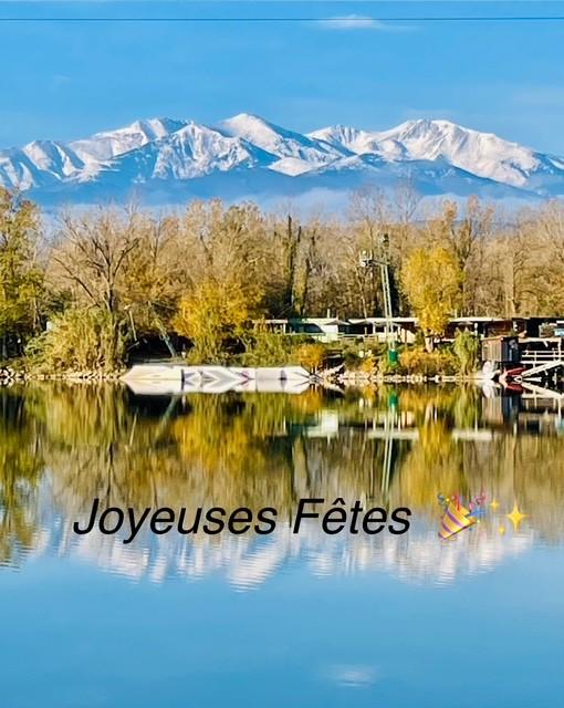 Joyeuses fetes 1